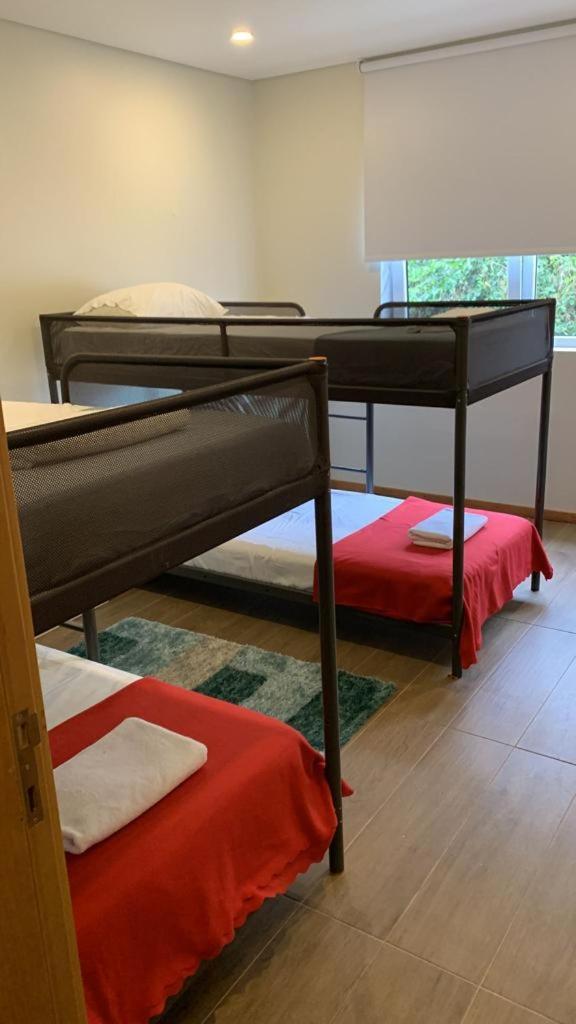 Porto Brasil Hostel Excellent Location Zewnętrze zdjęcie